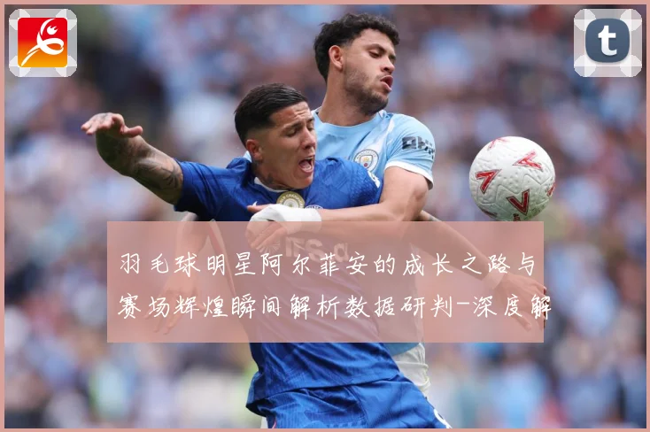 羽毛球明星阿尔菲安的成长之路与赛场辉煌瞬间解析数据研判-深度解析